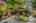 Blurred preview of media: 1-51