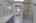 Blurred preview of media: 260188-26