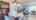Blurred preview of media: 655-Bermuda-Avenue-Oshawa-09282025_120145