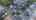 Blurred preview of media: 067