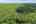 Blurred preview of media: 063