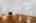 Blurred preview of media: 2-826-5467