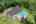 Blurred preview of media: 059
