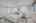 Blurred preview of media: DSC02241