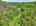 Blurred preview of media: DJI_20260604125824_0410_D_1_D_2_D_easyHDR