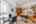 Blurred preview of media: AN6A1740