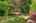 Blurred preview of media: 1-57