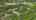 Blurred preview of media: DJI_20260618155309_0648_D