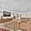 Blurred preview of media: FPP00091