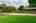 Blurred preview of media: 523E.HuisacheAve-30