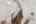 Blurred preview of media: 1600 DYLAN ST web-6