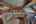 Blurred preview of media: Knot RO Ky Home-23
