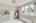 Blurred preview of media: Interiors-17