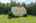 Blurred preview of media: 24 Rocky Dundee Road Bolton Massachusetts Job 40400 (Exteriors) 0017