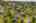 Blurred preview of media: Aerial 08