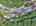 Blurred preview of media: 9zzzzk