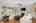 Blurred preview of media: 1-10