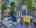 Blurred preview of media: 850_2621