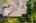 Blurred preview of media: Aerial 04