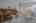 Blurred preview of media: IMG_0664