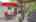 Blurred preview of media: IMG_9698
