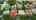 Blurred preview of media: Unknown media