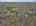 Blurred preview of media: 7-cecilia-ct-vernon-township-nj-usa-drone-007