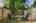 Blurred preview of media: 1-30
