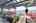 Blurred preview of media: IMG_9277 copy 2