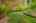 Blurred preview of media: 05