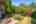 Blurred preview of media: IMG_3615