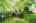 Blurred preview of media: 166 Foxridge Dr, Ancaster _ Nathan Ferro1007