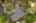 Blurred preview of media: Aerial 02