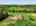 Blurred preview of media: DJI_20260908235146_0110_D