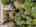 Blurred preview of media: DJI_20250815161851_0006_D