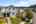 Blurred preview of media: 1-1