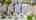 Blurred preview of media: 75