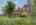 Blurred preview of media: IMG_1192