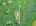 Blurred preview of media: DJI_20260609113716_0674_D_5_D_6_D_easyHDR