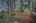 Blurred preview of media: 1-47