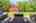 Blurred preview of media: 66 Woobly Road Bolton Massachusetts Job 39072 0011