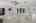 Blurred preview of media: 12430 Gentle Ben-22