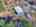 Blurred preview of media: DJI_20260329105451_0044_D_5_D_6_D_easyHDR