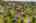 Blurred preview of media: Aerial 08 Marker