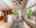 Blurred preview of media: 9 Laurel Oak Ct-11