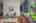 Blurred preview of media: 17