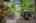 Blurred preview of media: 34