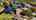 Blurred preview of media: Unknown media