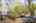 Blurred preview of media: 17