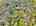 Blurred preview of media: DJI_20260505134424_0850_D_1_D_2_D_easyHDR